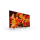SONY KD49XF8596 UHD - 467229 - zdjęcie 2